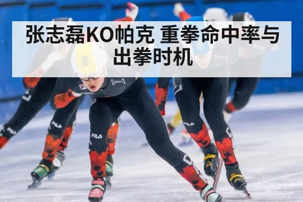 张志磊KO帕克 重拳命中率与出拳时机